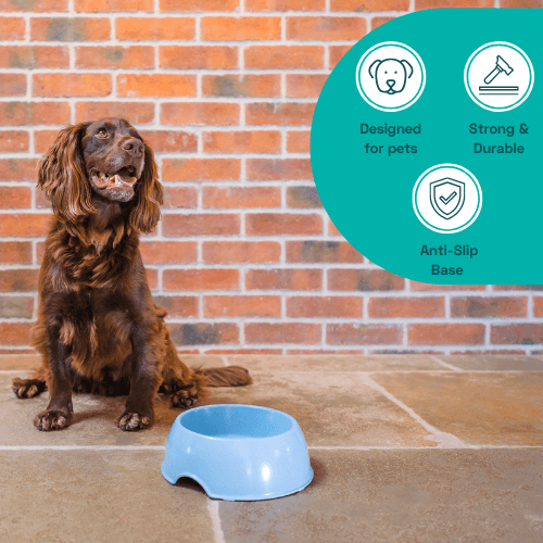 Bamboo & Cornstarch Pet Bowl image 3