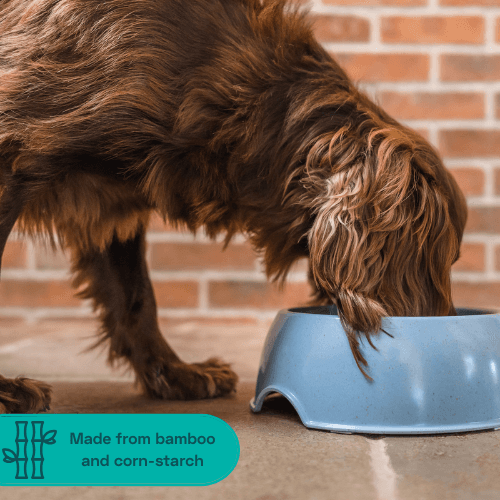 Bamboo & Cornstarch Pet Bowl image 2