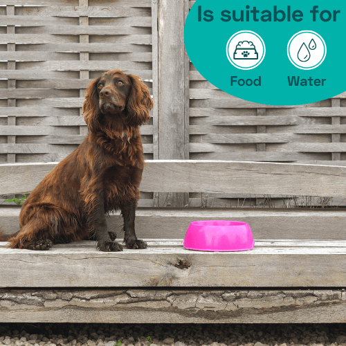 Bamboo & Cornstarch Pet Bowl