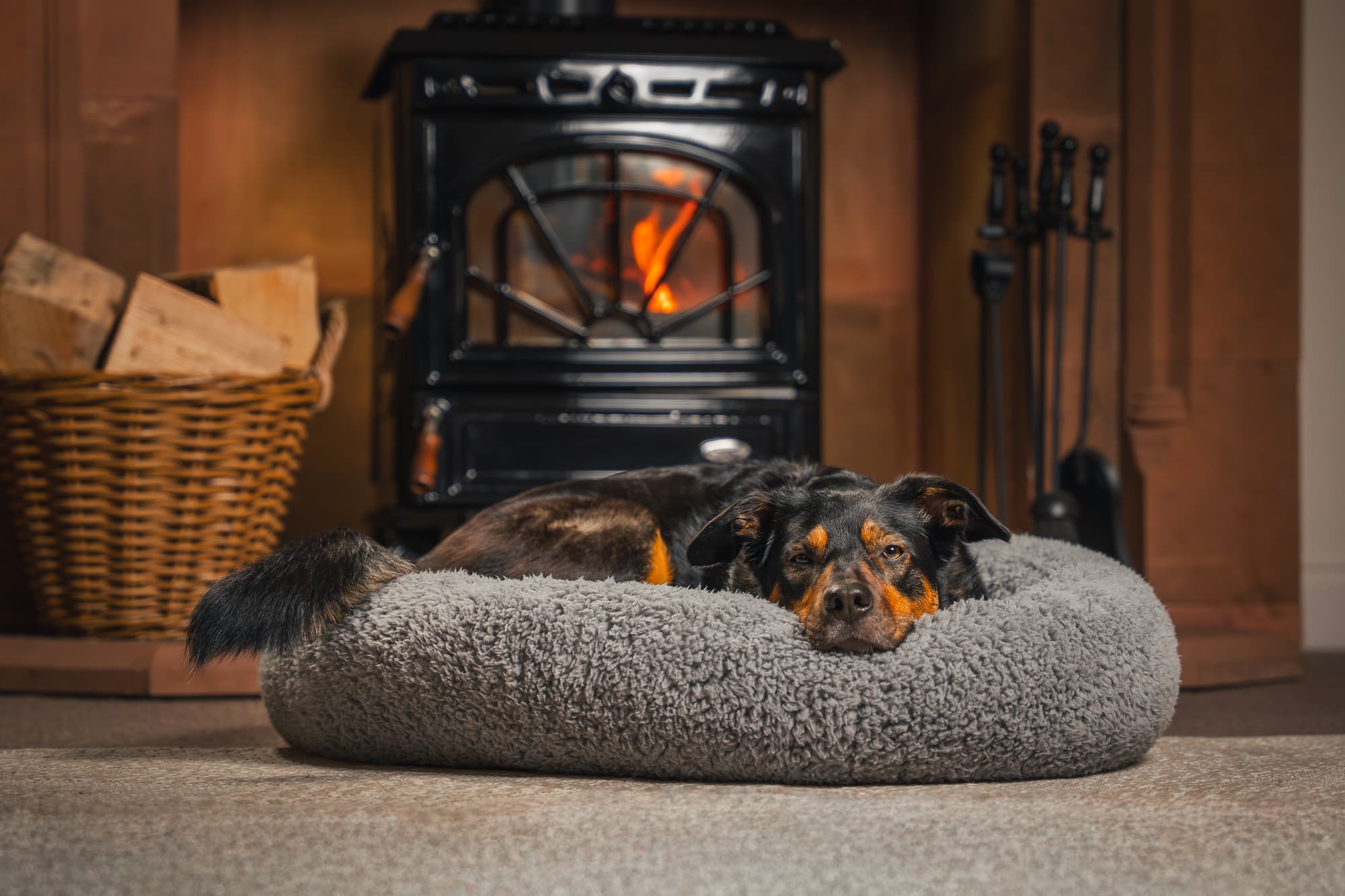 Dog relaxing in ePAW Eco Dog Bed by a cosy fireplace